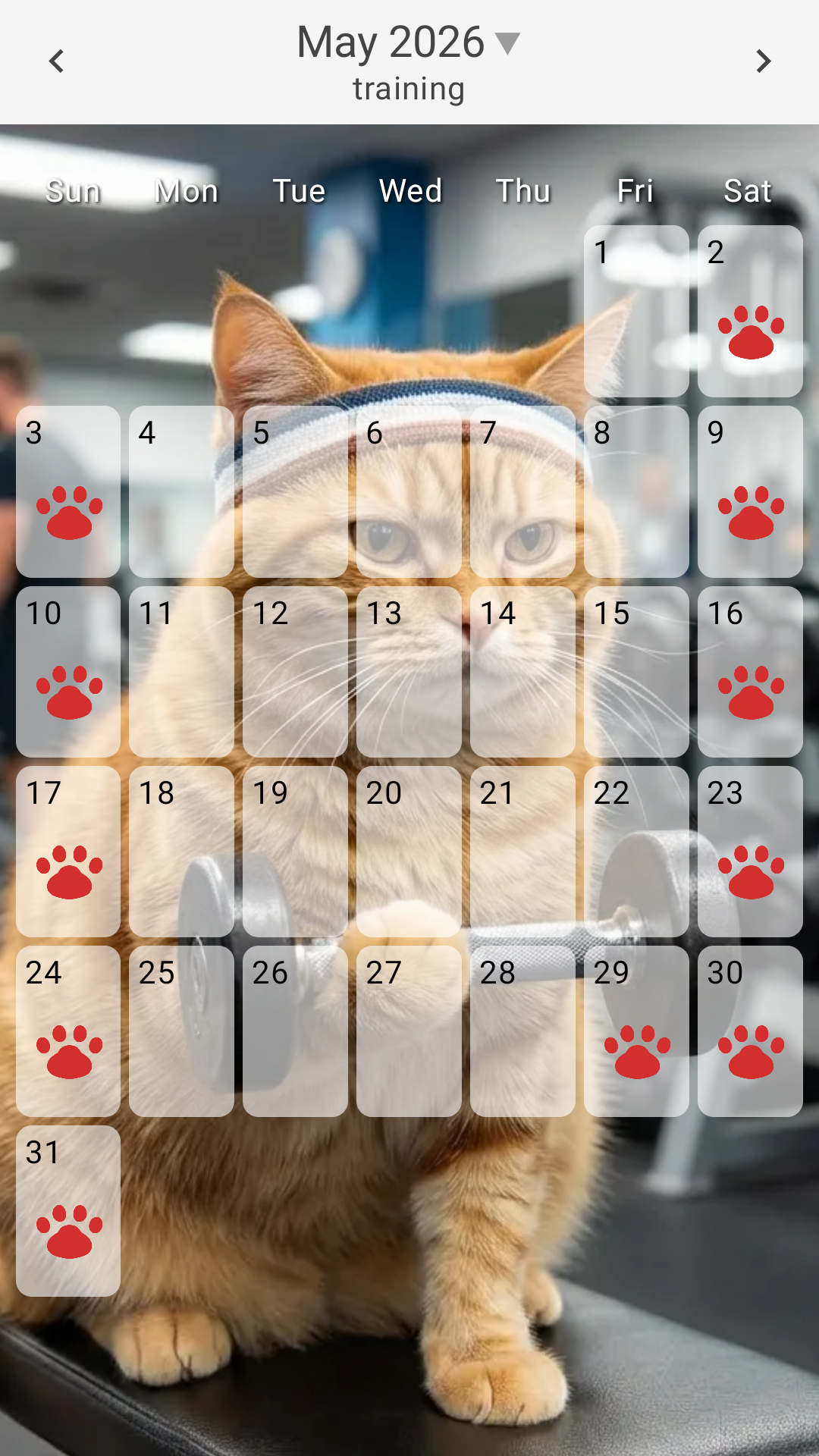 Simple Stamp Background GymCat